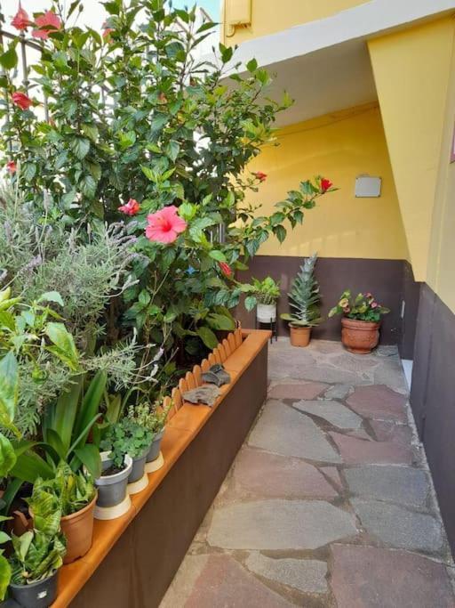 El Rincon De Nina Villa La Laguna  Bagian luar foto